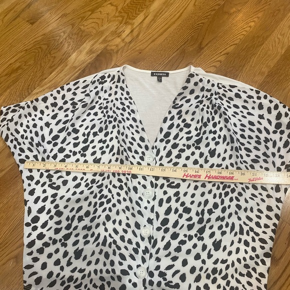 Express. Small - Picture 8 of 10